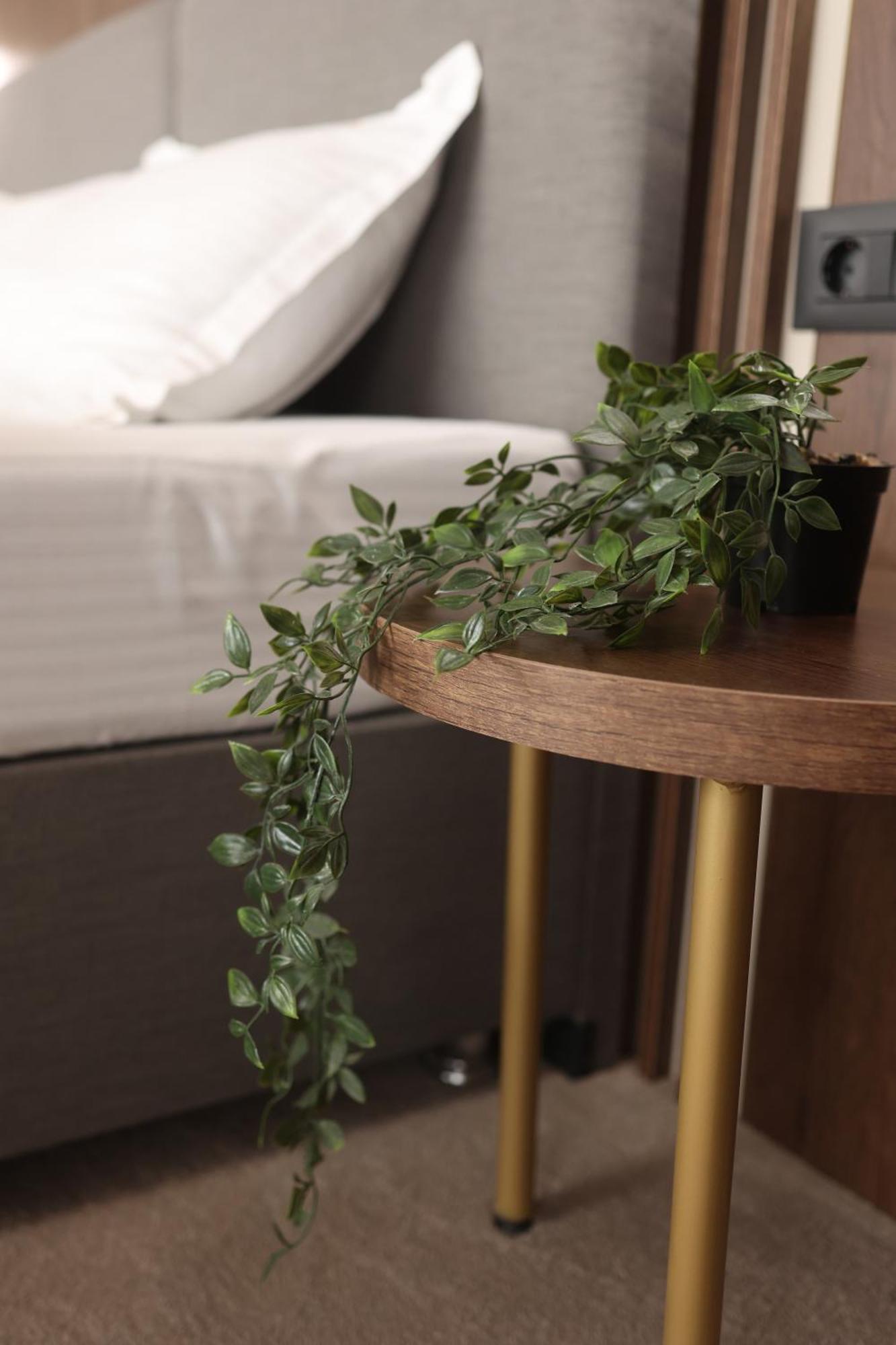 Sonio Boutique Hotel Mamaia Eksteriør billede